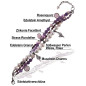 Beau – 3-reihiges Armband mit Süßwasserperlen, Granat, Amethyst und Rosenquarz Beau – 3-reihiges Armband mit Süßwasserperlen, Granat, Amethyst und Rosenquarz