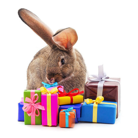 Ostern Geschenkverpackung – Geschenke – Ansicht 1